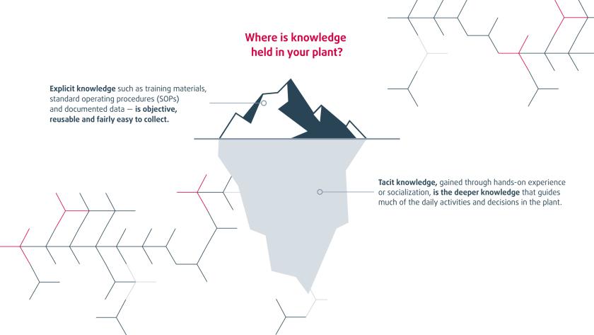 Where is knowledge held in your plant?